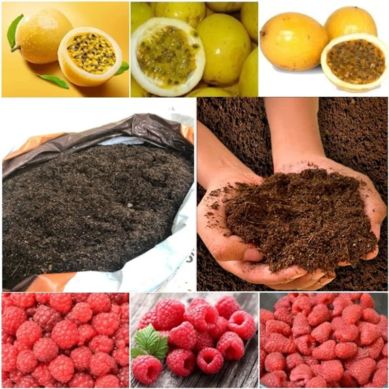 50 sementes maracujá + 50 maracujá gigante para vaso + 60 framboesa vermelha + super substrato