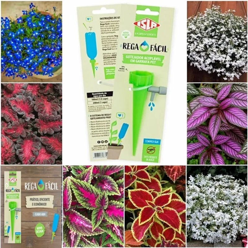 Kit raros 2000 sementes lobélias + 1100 coleus + gotejador