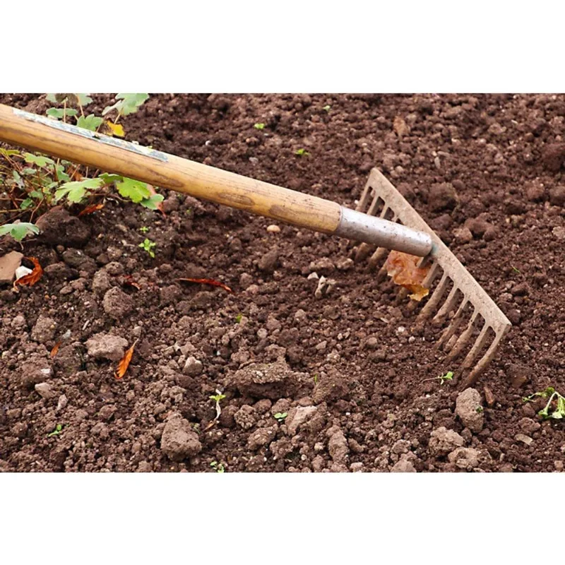 2 Kg substrato para suculentas E rosa do deserto + brinde