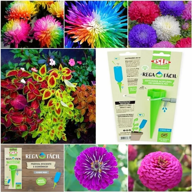 Kit raros 1100 coleus + 100 crisântemo + 200 zinia + gotejador