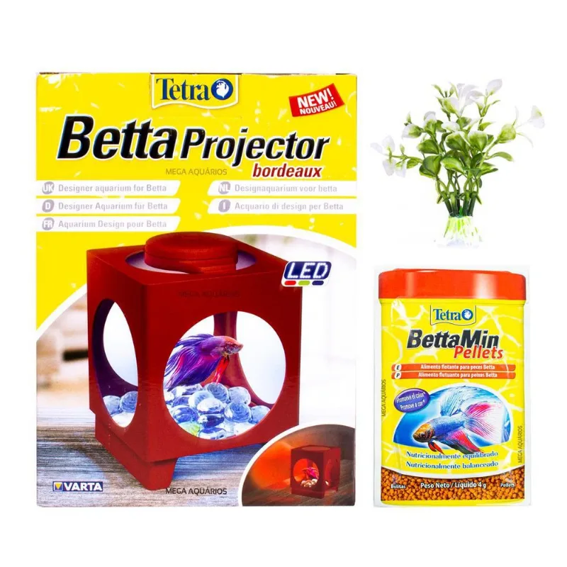 Presente Dia Das Crianças Beteira Mini Aquário 1,8l Tetra
