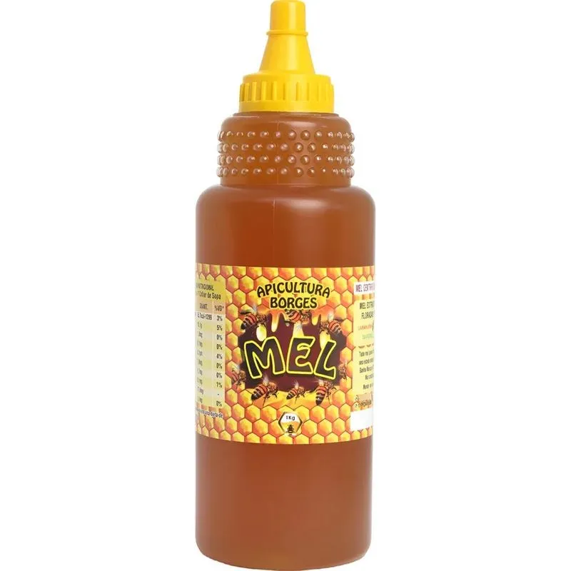Mel Puro De Abelha Apicultura Borges 100% Natural 1kg Mel De