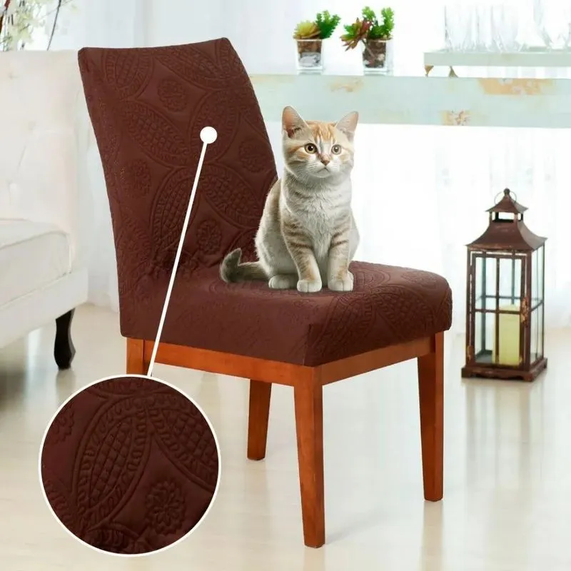Kit 6 Capas Para Cadeira De Jantar Anti Gato Pronta Chocolat