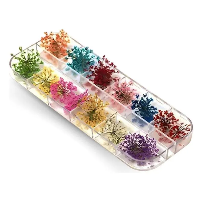 2x Flores Secas Para Decoração E Encapsulamento De Unhas Gel