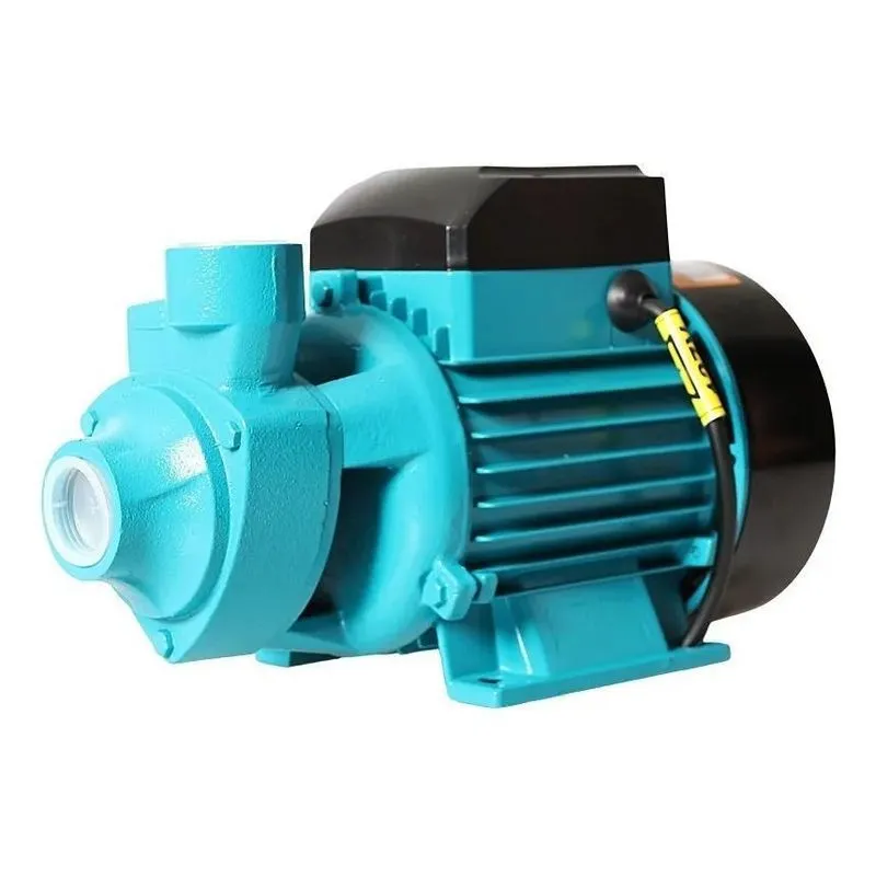 Bomba De Água Periférica Para Poço 1cv 1hp 70m - Tssa 127v