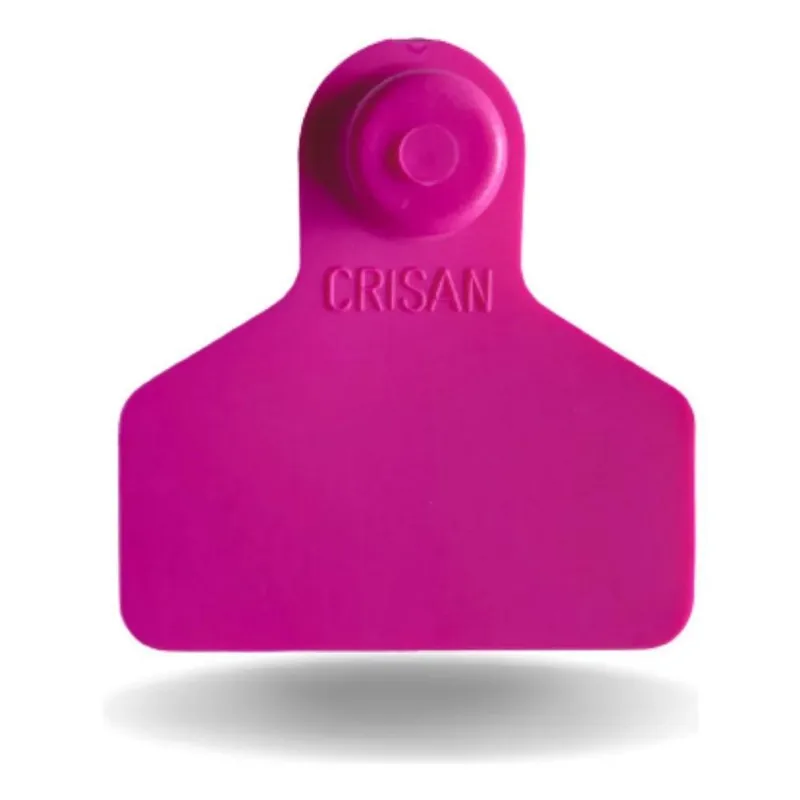 Brincos Amarelo Bovinos Liso 100 Un Violeta