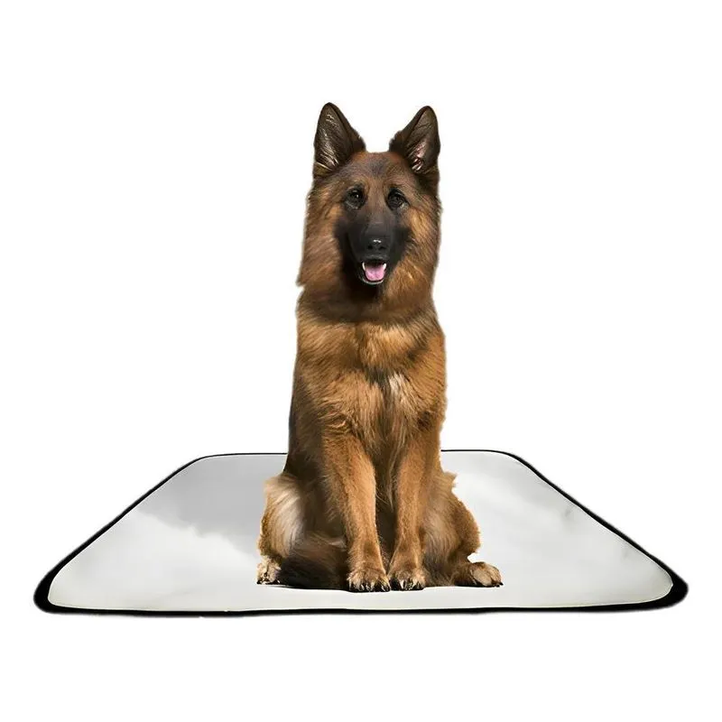 Kit 3 Tapetes Higiênicos Lavável Cães G, 100x90 Cm Branco, B