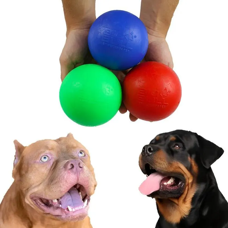 Bola Grande Bolinha Pet Resistente Para Pitbull Labrador Gol