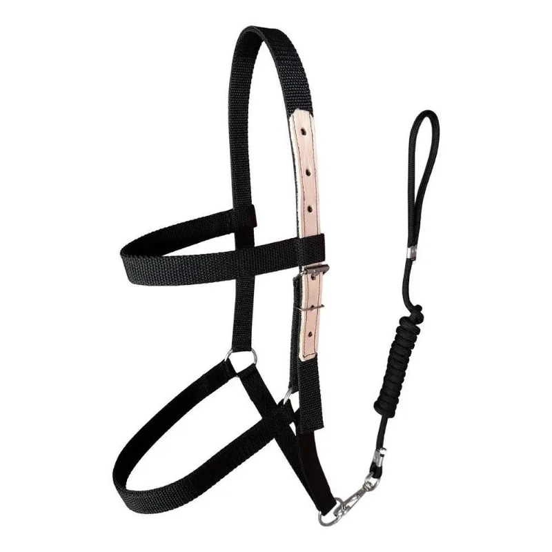 Cabresto Em Fita De Nylon Para Equinos + Cabo Guia