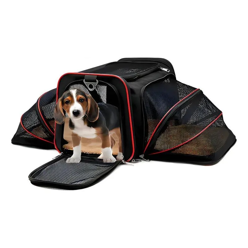 Bolsa Pet Para Transporte Viagem Expansível Avião Cabine Cãe