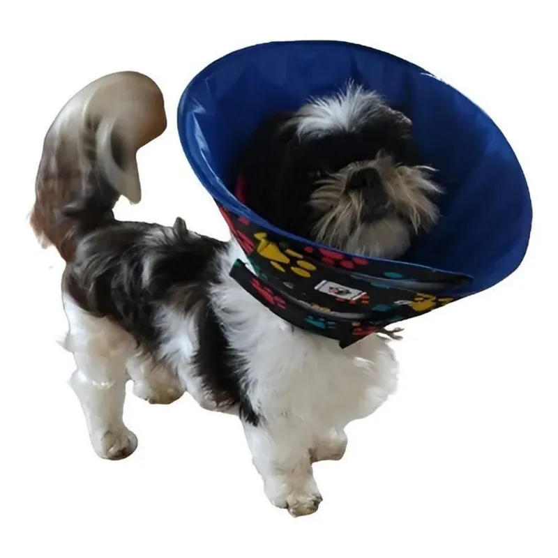 Colar Elizabetano Em Tecido Para Shih Tzu P- Preto/Azul