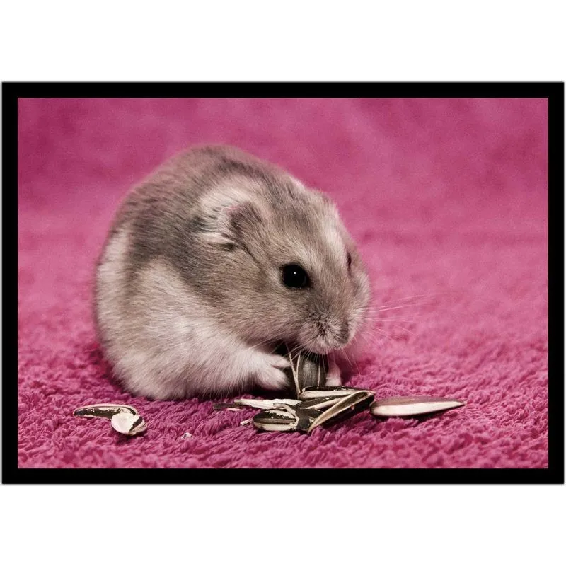 Quadro Decorativo Animais Hamster Com Moldura R01
