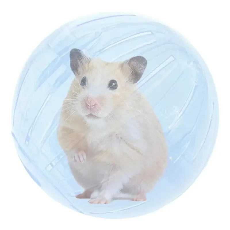 10x Bola Para Hamster Roedores Ball Savana Pet Cor Transpar