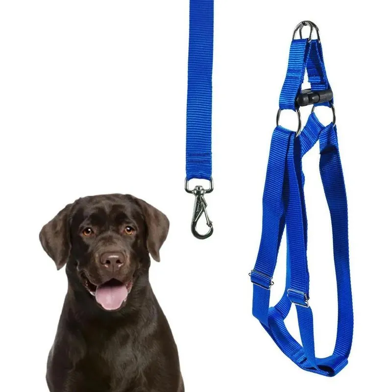 10x Coleira Cachorro Peitoral Porte Grande Husky Dálmata +