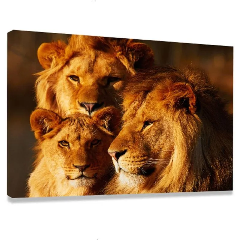 Quadro Leão Grande 1 Peça Familia Filhotes Decorativo 60x90