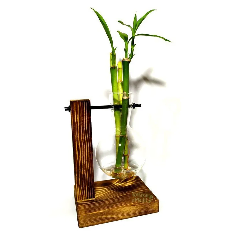 Suporte Em Madeira E Vaso Pendente Com Bambu Sorte 3 Hastes