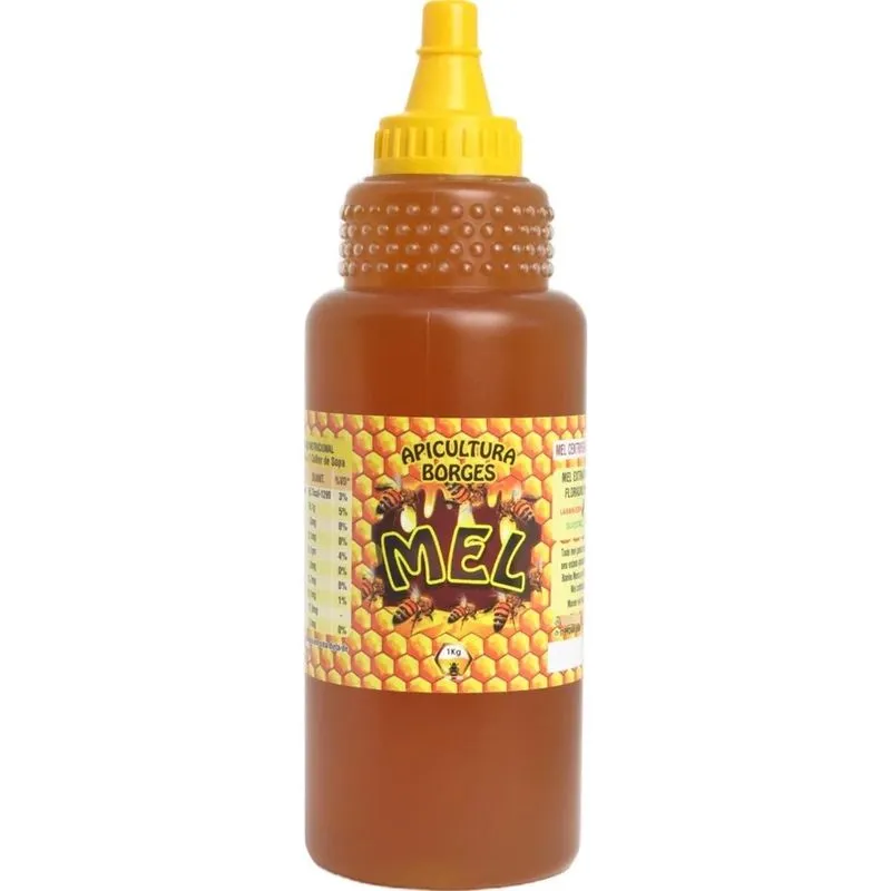 5x Mel Puro De Abelha Apicultura Borges 100% Natural 1kg M