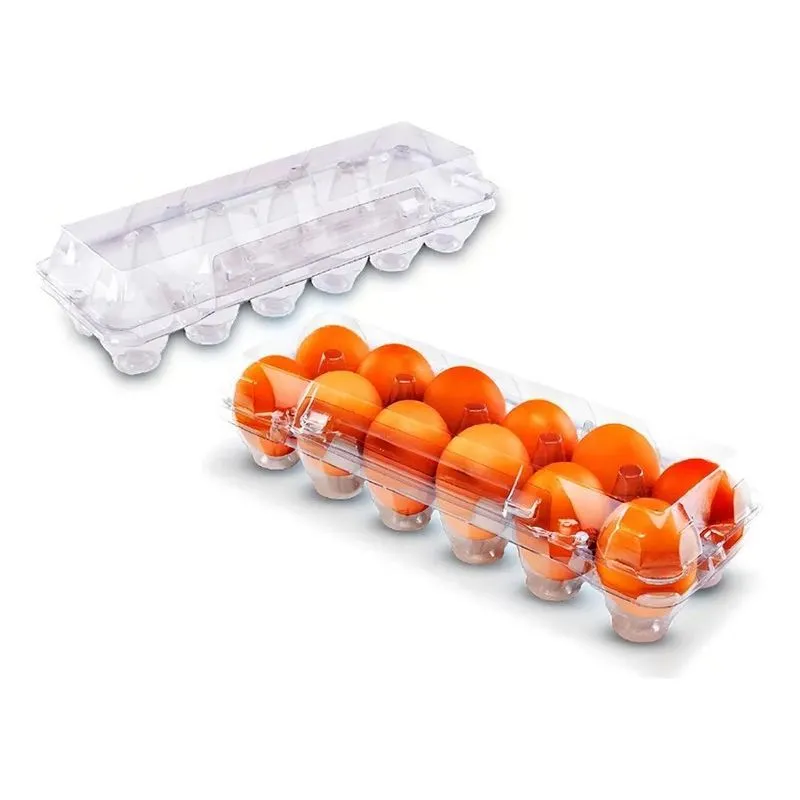 3x Embalagem Para 12 Ovos De Galinha Kit 50 Unidades Cor Tra