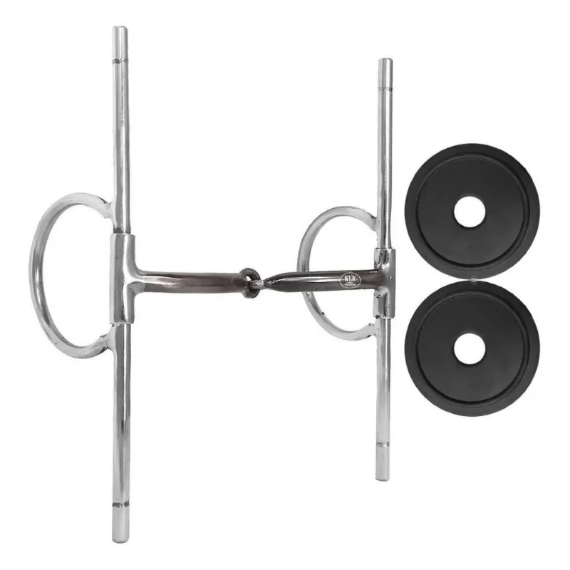 Bridão Caneta Agulha Inox Mais Protetor