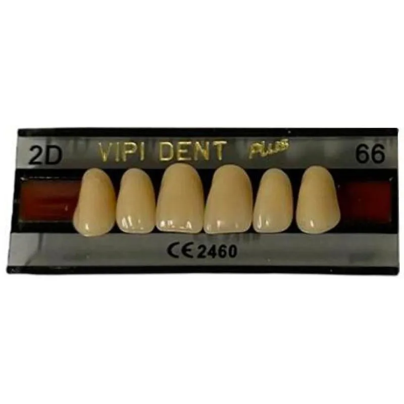Dente 2d Superior Anterior 66 - Vipi