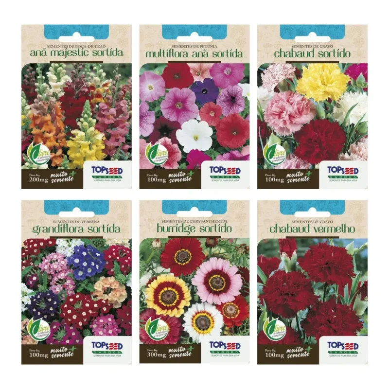 Kit 6 Sementes de Flores | Boca de Leão, Petúnia, Cravo Sortido, Cravo Vermelho, Verbena e Chrysanthemum - Pet Casa e Jardim