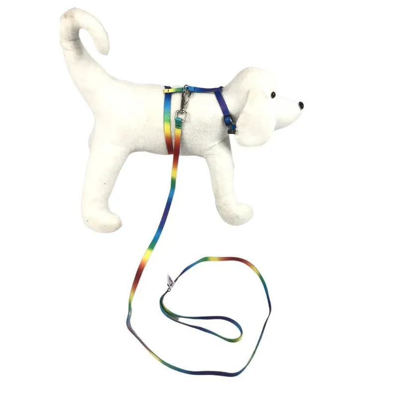 Coleira E Guia De Passeio Para Pets Pequenos Bolinhas Azul