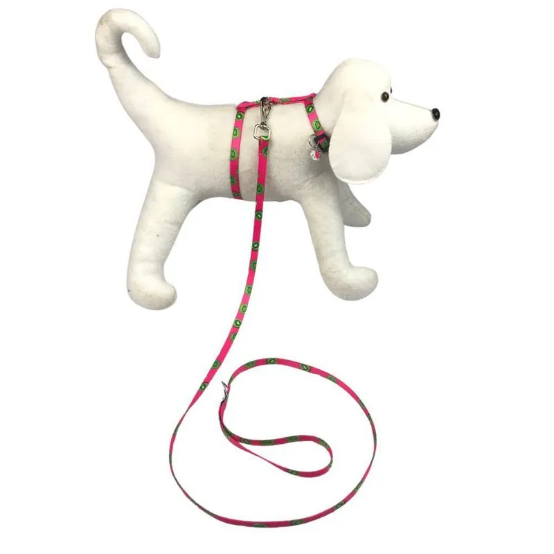 Coleira E Guia De Passeio Para Pets Pequenos Oncinha Branco