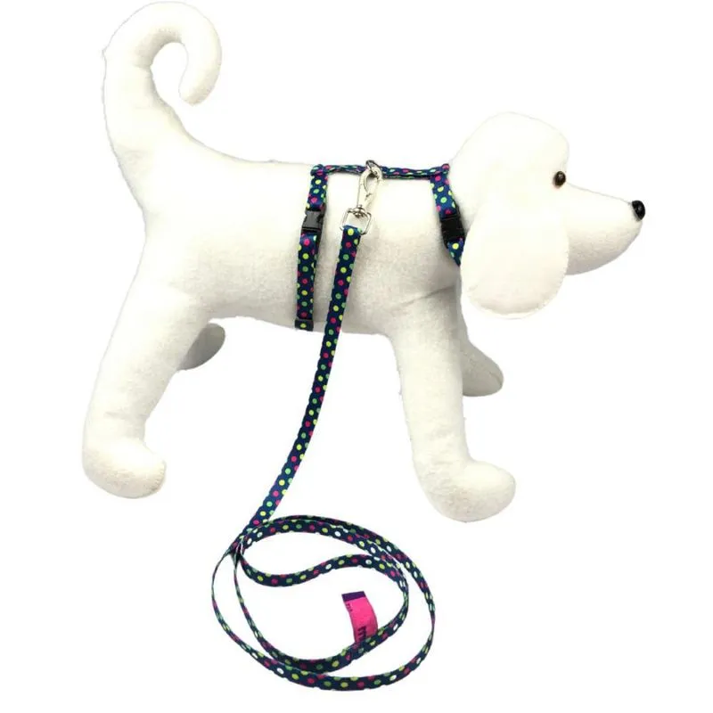 Coleira E Guia De Passeio Para Pets Pequenos Bolinhas Azul