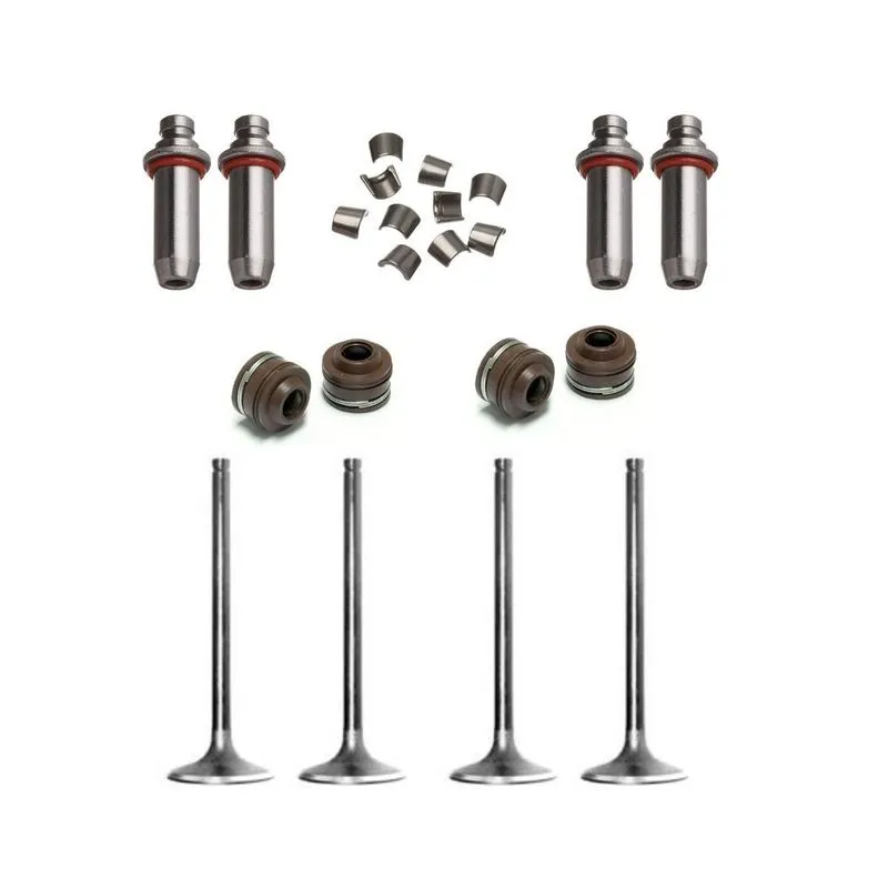 Kit Válvulas Adm E Esp Cb 300 Xre 300 Guias Castanhas Retent