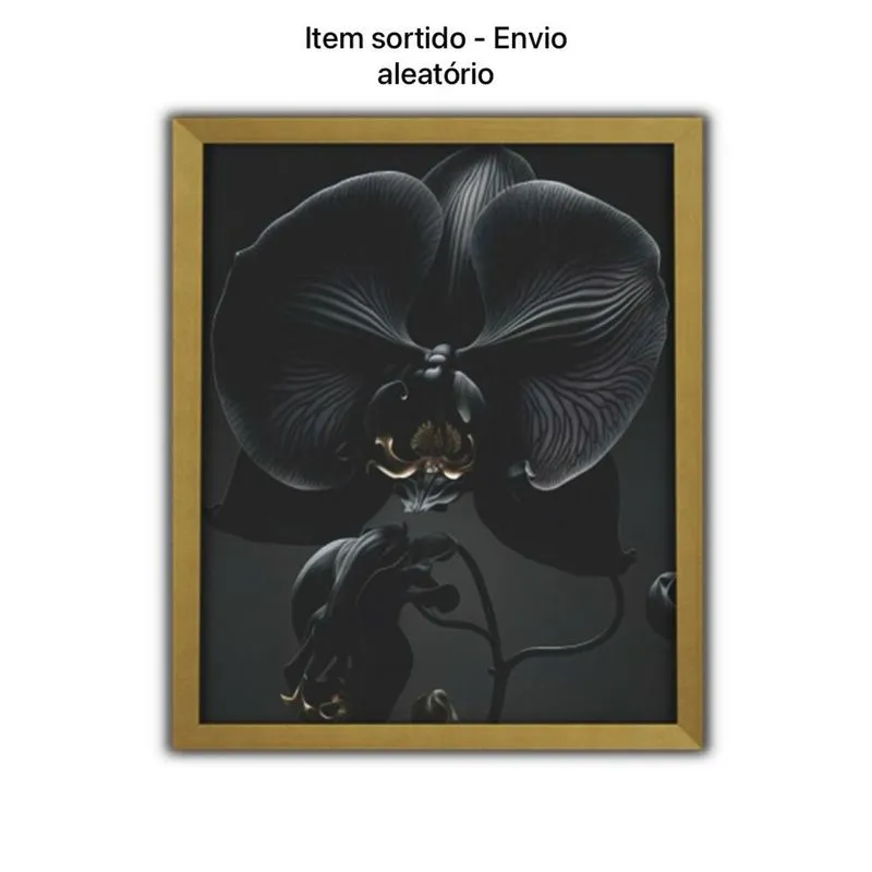 Quadro Decorativo 50x60 Sortido - Art Frame