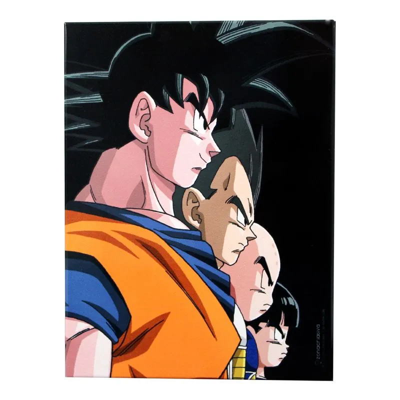 Quadro de Metal Dragon Ball Heros 26x19