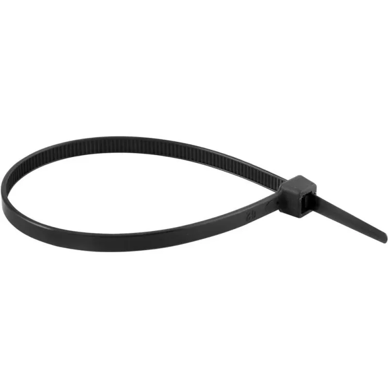 ABRAÇADEIRA DE NYLON PRETA 2,5X100 C/100 FLEX LOTUS