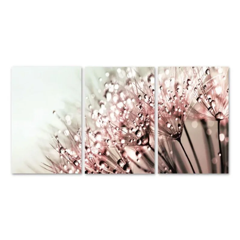 Kit 3 Placas Decorativas Plantas Dentes De Leão 20x30 Cm Mdf