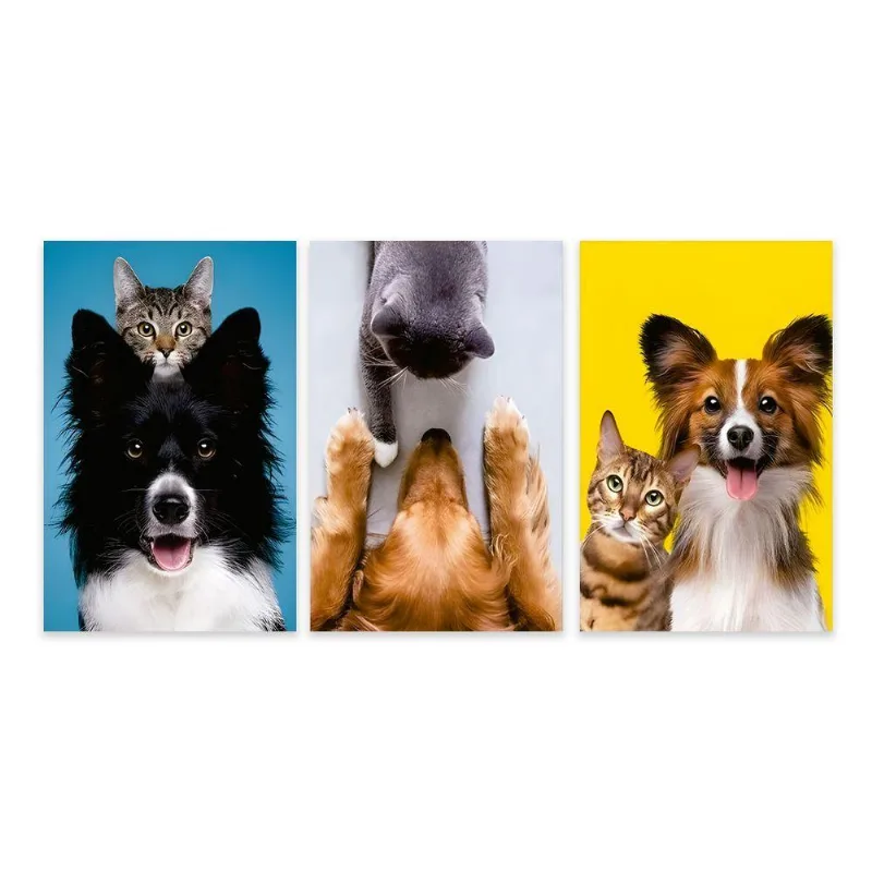 Kit 3 Quadros Decorativos Pet Shop Gato Cachorro Placas Mdf