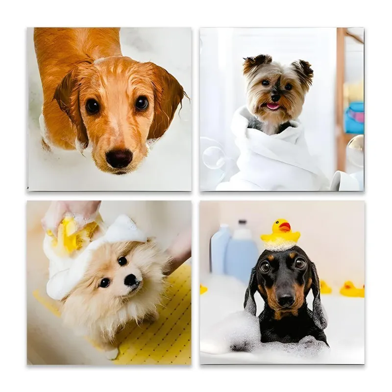 Kit 4 Quadros Decorativos Pet Shop Cachorro Gato Placas Mdf