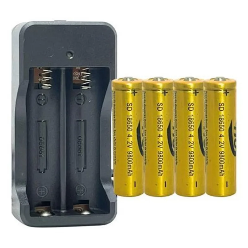 Kit Carregador Duplo + 4 Baterias 18650 3,7/4,2V 8800Mah