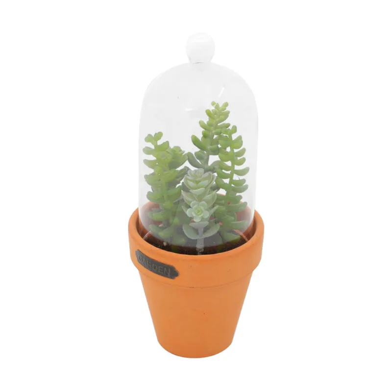 Vaso Plástico Vidro Cotyledun Sucullent Verde Laranja Com Tampa 8,89X8,89X22,23cm