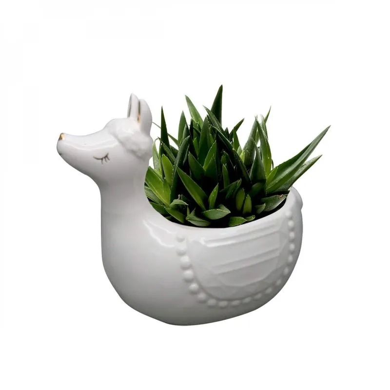 Cachepot Cerâmica Cute Lhama Urban Branco