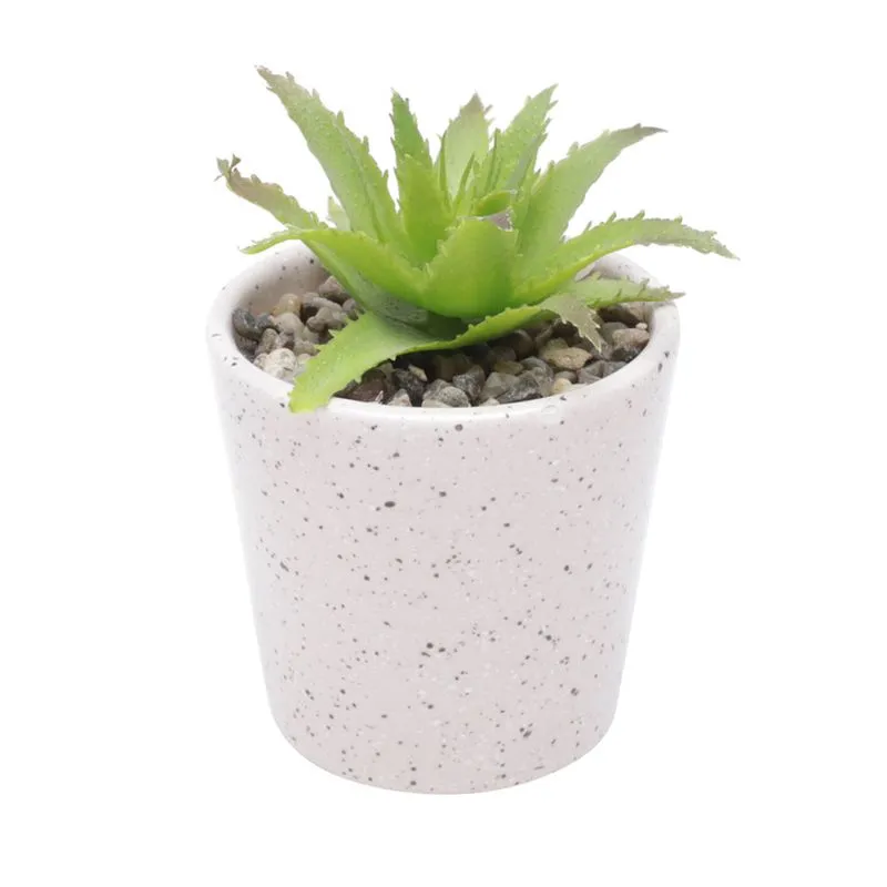 Cachepot de Cerâmica Urban Granilite 16cm Rosa com Suculenta