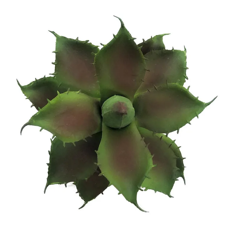Suculenta Decorativa Artificial Plantas 14X12Cm
