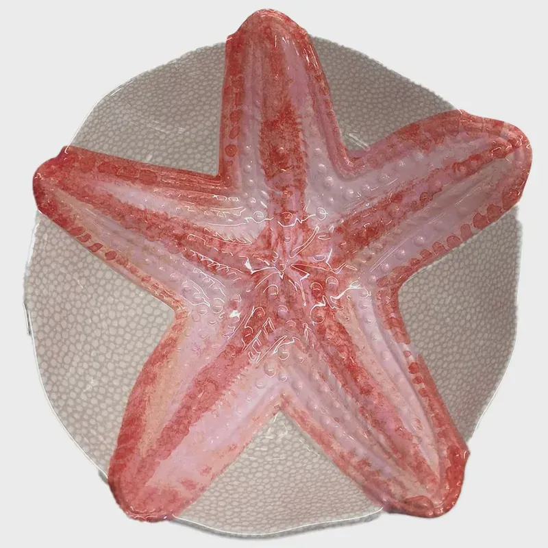 Bowl Melamina Estrela do Mar Rosa 50080 - EntreCasa
