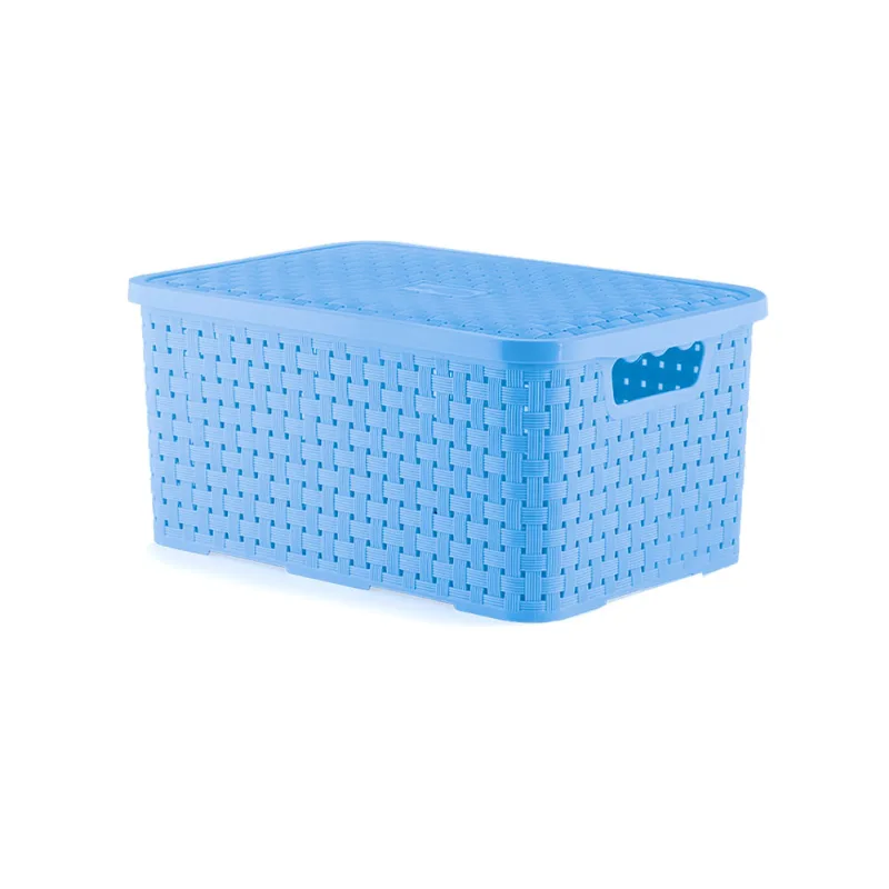 Caixa Organizadora New Plastic Azul
