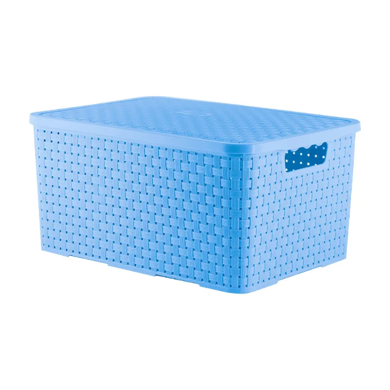 Caixa Organizadora New Plastic Azul