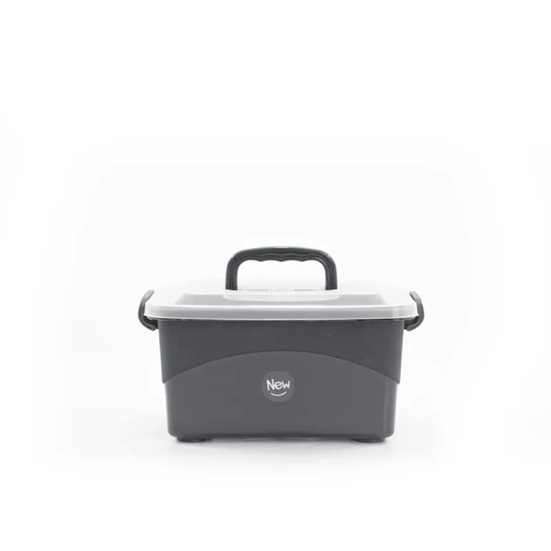 Caixa Multiuso Com Alça Pequena de Plástico Fendi New Plastic 27x17,5x14,5cm 1861