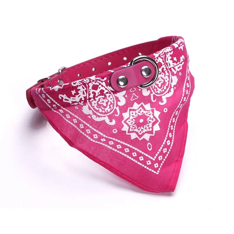 Coleira bandana cachorro gato coleira média- 1 unidade