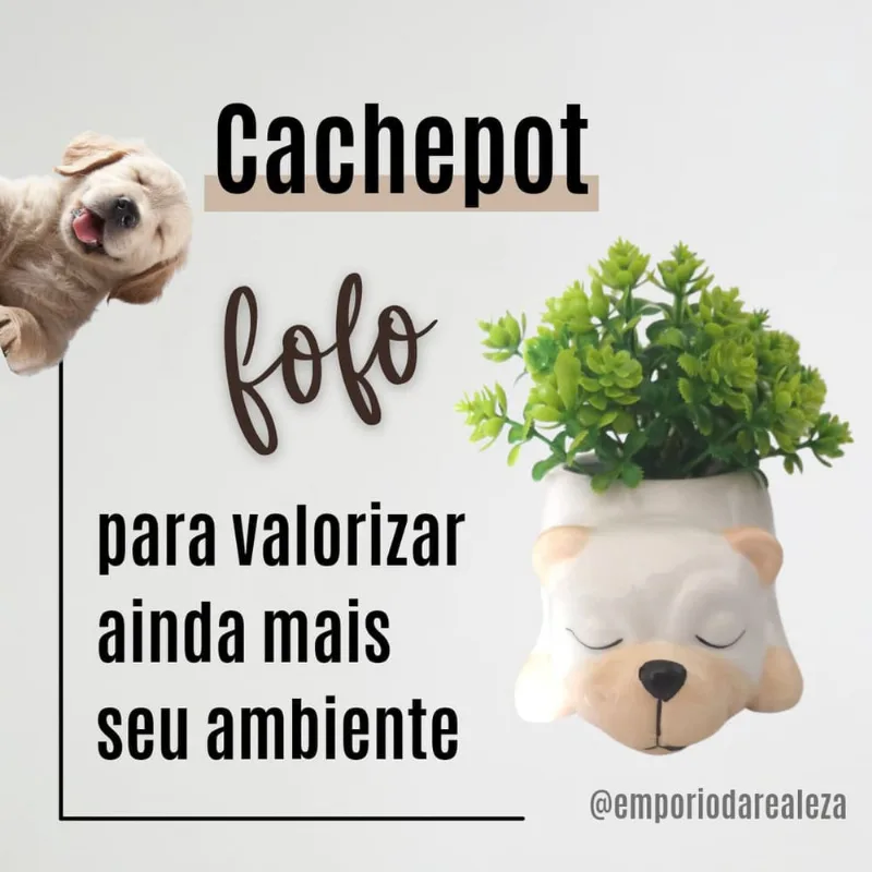 Vaso Suculentas, Cacto, Flores e Plantas /Cachepot Cachorrinho/ Decoração