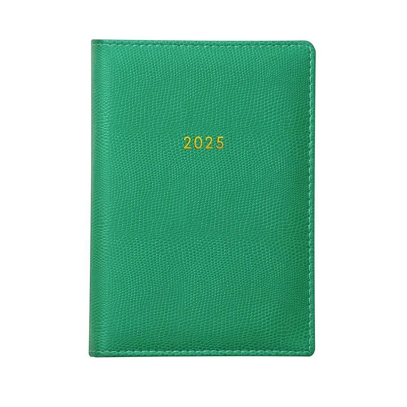 Agenda 2025 Diária Cost 176fls Capri Star Verde Foroni