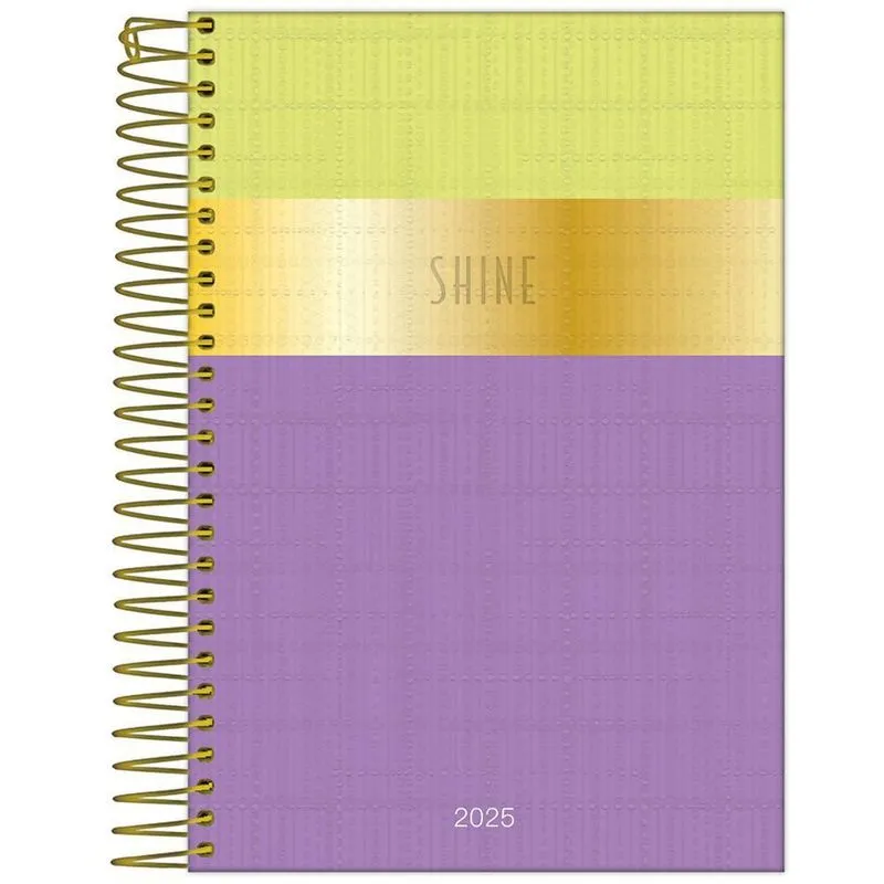 Agenda 2025 Diária Esp 176Fls Shine Verde E Roxo Foroni