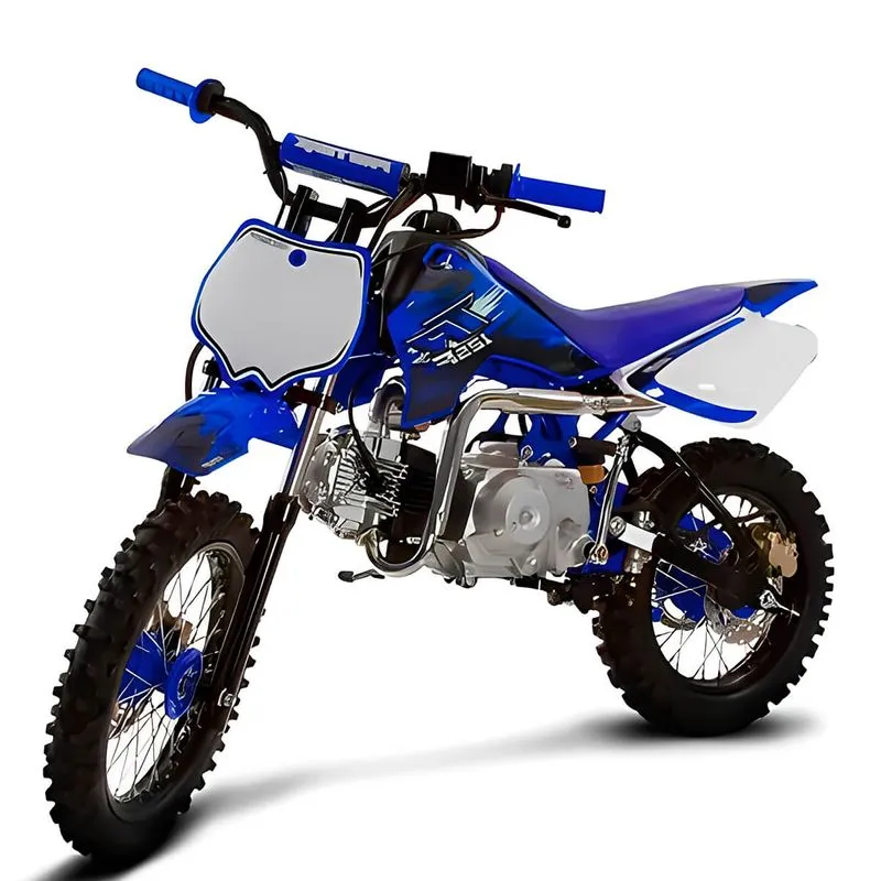 Mini Moto Pro Tork TR-125F Off Road Motocross 125cc Azul