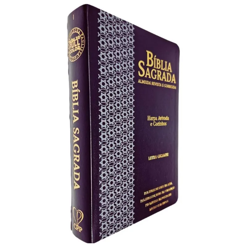 Bíblia Sagrada Arc Fc Capa Pu Luxo Estrela Preto E Cinza Pda Pjv Ped Mc Harpa Avivada E Corinhos Letra Gigante Cpp
